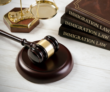 Crossing Boundaries: How Immigration Law Intersects With Criminal Law
